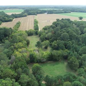 Photo #5 of OCCOHANNOCK NECK RD, BELLE HAVEN, VA 114.9 acres