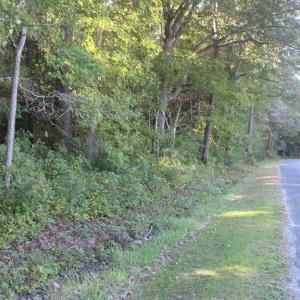 Photo #10 of lot 130 MATTHEWS RD, PARKSLEY, VA 58.0 acres