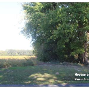 Photo #3 of lot 130 MATTHEWS RD, PARKSLEY, VA 58.0 acres