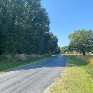 Photo #5 of lot 130 MATTHEWS RD, PARKSLEY, VA 58.0 acres