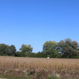 Photo #8 of lot 130 MATTHEWS RD, PARKSLEY, VA 58.0 acres