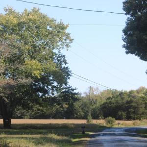 Photo #9 of lot 130 MATTHEWS RD, PARKSLEY, VA 58.0 acres
