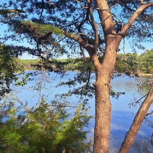 Additional view of Plantation Creek