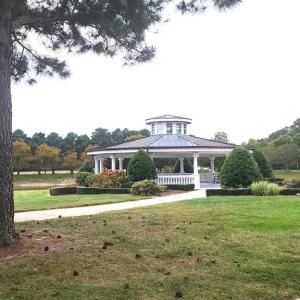 Gazebo & Pond in neighborhood