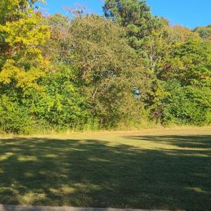 Partial View of the Lot