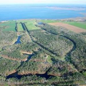 Photo #4 of Lot 95 COVENTON LANE, HORNTOWN, VA 3.1 acres