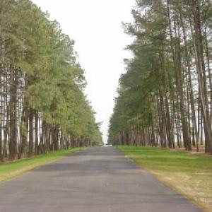 Photo #16 of Lot 95 COVENTON LANE, HORNTOWN, VA 3.1 acres