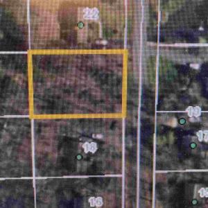 Photo #2 of 20 CHIPPEWA LN, PALMYRA, VA 0.3 acres