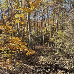 Photo #3 of 20 CHIPPEWA LN, PALMYRA, VA 0.3 acres