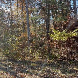 Photo #1 of 20 CHIPPEWA LN, PALMYRA, VA 0.3 acres