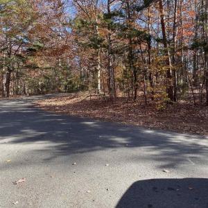 Photo #4 of 19 CHICKASAW PL, PALMYRA, VA 0.8 acres