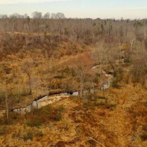 Photo #8 of 0 SCLATERS FORD RD, PALMYRA, VA 35.0 acres