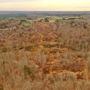 Photo #21 of 0 SCLATERS FORD RD, PALMYRA, VA 35.0 acres