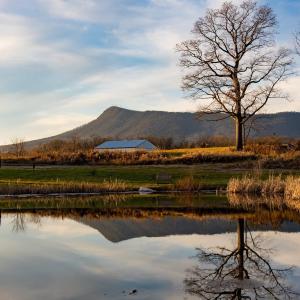 Photo #3 of Lot-76 DALMATIAN DR, MCGAHEYSVILLE, VA 0.3 acres