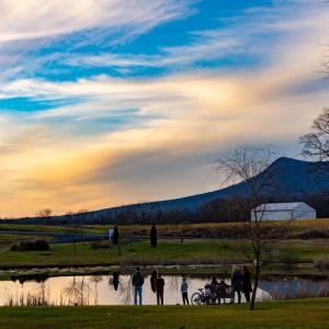 Photo #4 of Lot-91 DAVE BERRY RD, MCGAHEYSVILLE, VA 0.7 acres