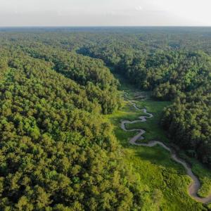 Photo #13 of 0-A WARE CREEK RD, WILLIAMSBURG, VA 2,712.0 acres