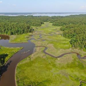Photo #16 of 0-A WARE CREEK RD, WILLIAMSBURG, VA 2,712.0 acres