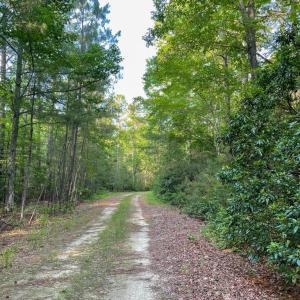 Photo #17 of 0-A WARE CREEK RD, WILLIAMSBURG, VA 2,712.0 acres