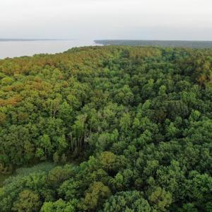 Photo #20 of 0-A WARE CREEK RD, WILLIAMSBURG, VA 2,712.0 acres