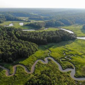 Photo #3 of 0-A WARE CREEK RD, WILLIAMSBURG, VA 2,712.0 acres