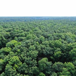 Photo #23 of 0-A WARE CREEK RD, WILLIAMSBURG, VA 2,712.0 acres