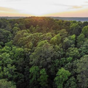 Photo #4 of 0-A WARE CREEK RD, WILLIAMSBURG, VA 2,712.0 acres