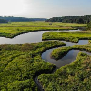 Photo #5 of 0-A WARE CREEK RD, WILLIAMSBURG, VA 2,712.0 acres