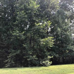 Photo #5 of Lot 7 FOXWOOD DR, BARBOURSVILLE, VA 2.7 acres