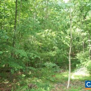 Photo #3 of Lot 21 WOODTHRUSH LN, BARBOURSVILLE, VA 2.7 acres