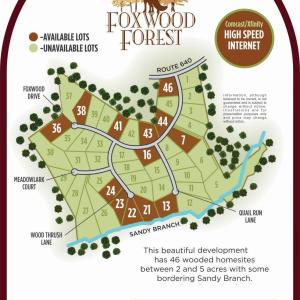 Photo #4 of Lot 21 WOODTHRUSH LN, BARBOURSVILLE, VA 2.7 acres