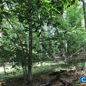 Photo #3 of Lot 22 WOODTHRUSH LN, BARBOURSVILLE, VA 2.4 acres