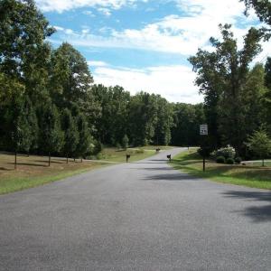 Photo #3 of Lot 24 WOODTHRUSH LN, BARBOURSVILLE, VA 2.0 acres