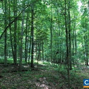 Photo #5 of Lot 36 FOXWOOD DR, BARBOURSVILLE, VA 3.1 acres