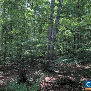 Photo #1 of Lot 41 FOXWOOD DR, BARBOURSVILLE, VA 2.0 acres