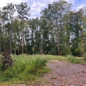 Photo #2 of Lot 1955 MAYFLOWER DR, GREENBACKVILLE, VA 19.0 acres