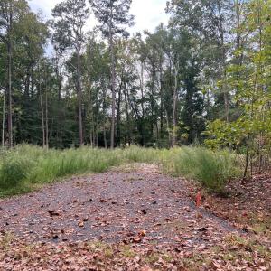 Photo #3 of Lot 1955 MAYFLOWER DR, GREENBACKVILLE, VA 19.0 acres