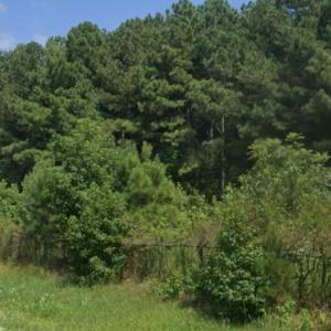 Photo #4 of LOT 4 LANKFORD HWY, BLOXOM, VA 2.1 acres