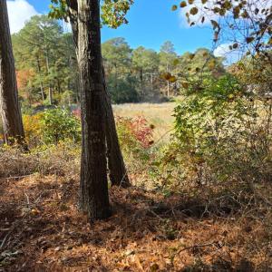 Photo #2 of BARNES CIR, PARKSLEY, VA 1.1 acres