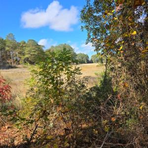 Photo #3 of BARNES CIR, PARKSLEY, VA 1.1 acres