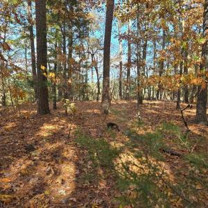 Photo #4 of BARNES CIR, PARKSLEY, VA 1.1 acres