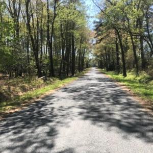 Photo #2 of ALICATO RD, PARKSLEY, VA 4.9 acres