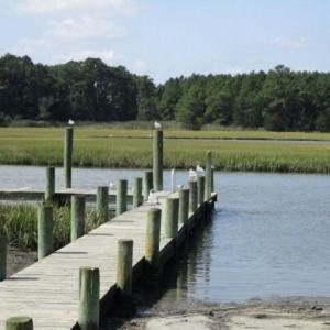 Photo #5 of ALICATO RD, PARKSLEY, VA 4.9 acres