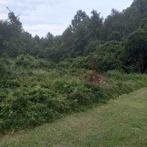 Photo #1 of LEWIS ESTATES LANE - LOT 4, SPOTSYLVANIA, VA 5.4 acres