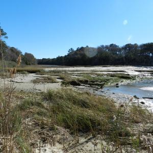 Photo #14 of Lot E2 BATTLE POINT RD, JAMESVILLE, VA 3.1 acres