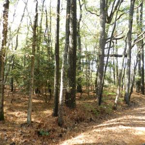 Photo #2 of Lot E2 BATTLE POINT RD, JAMESVILLE, VA 3.1 acres