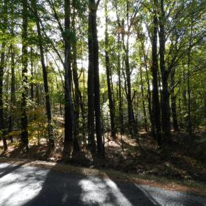 Photo #4 of Lot E2 BATTLE POINT RD, JAMESVILLE, VA 3.1 acres