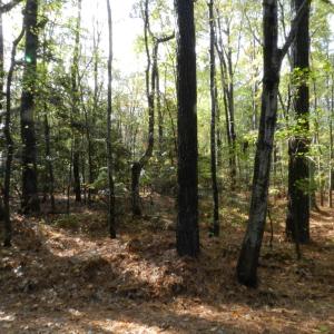 Photo #6 of Lot E2 BATTLE POINT RD, JAMESVILLE, VA 3.1 acres