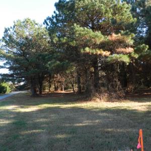 Photo #13 of Lot 3&X BARLOW CREEK LN., EASTVILLE, VA 5.0 acres