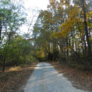 Photo #29 of Lot 3&X BARLOW CREEK LN., EASTVILLE, VA 5.0 acres
