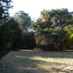Photo #9 of Lot 3&X BARLOW CREEK LN., EASTVILLE, VA 5.0 acres